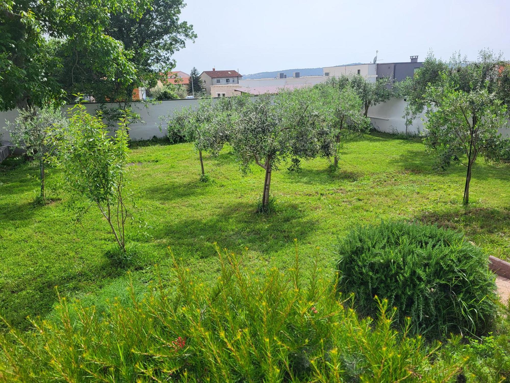 Guest House Tika Medulin Dış mekan fotoğraf